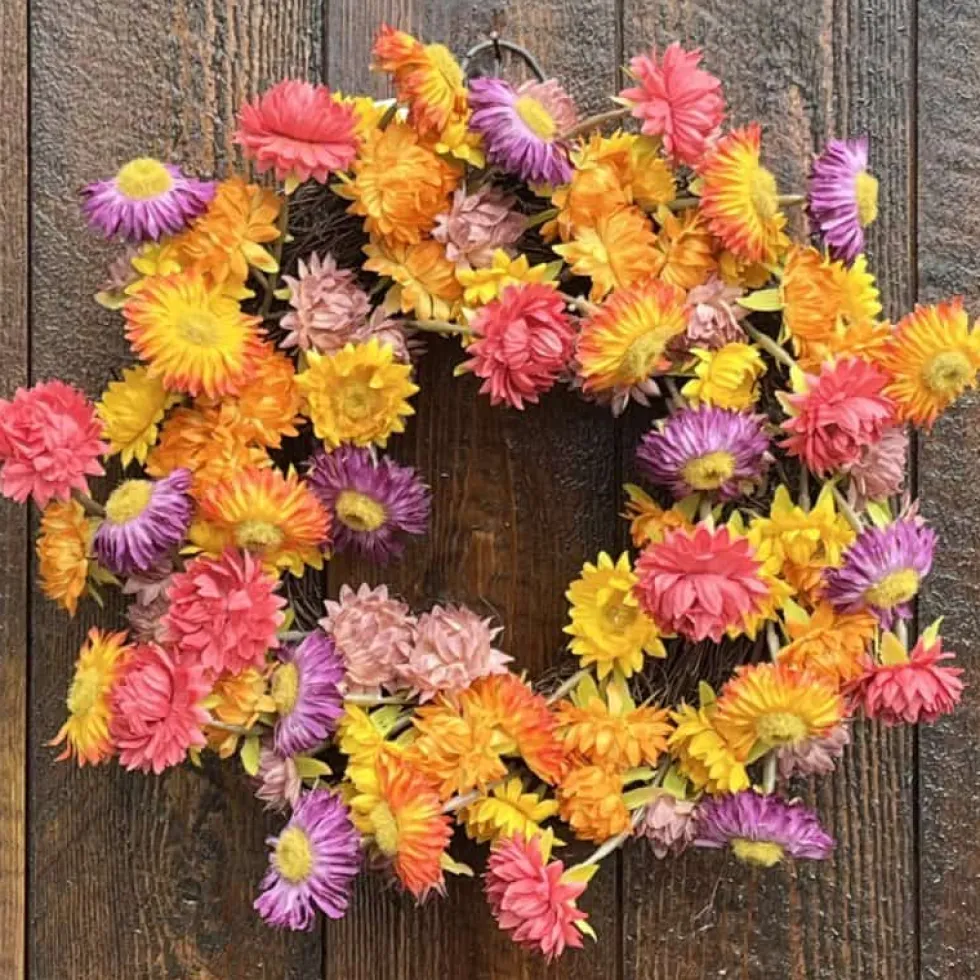 Türkranz Herbst Deko Blütenkranz auf Rebe D 30 cm