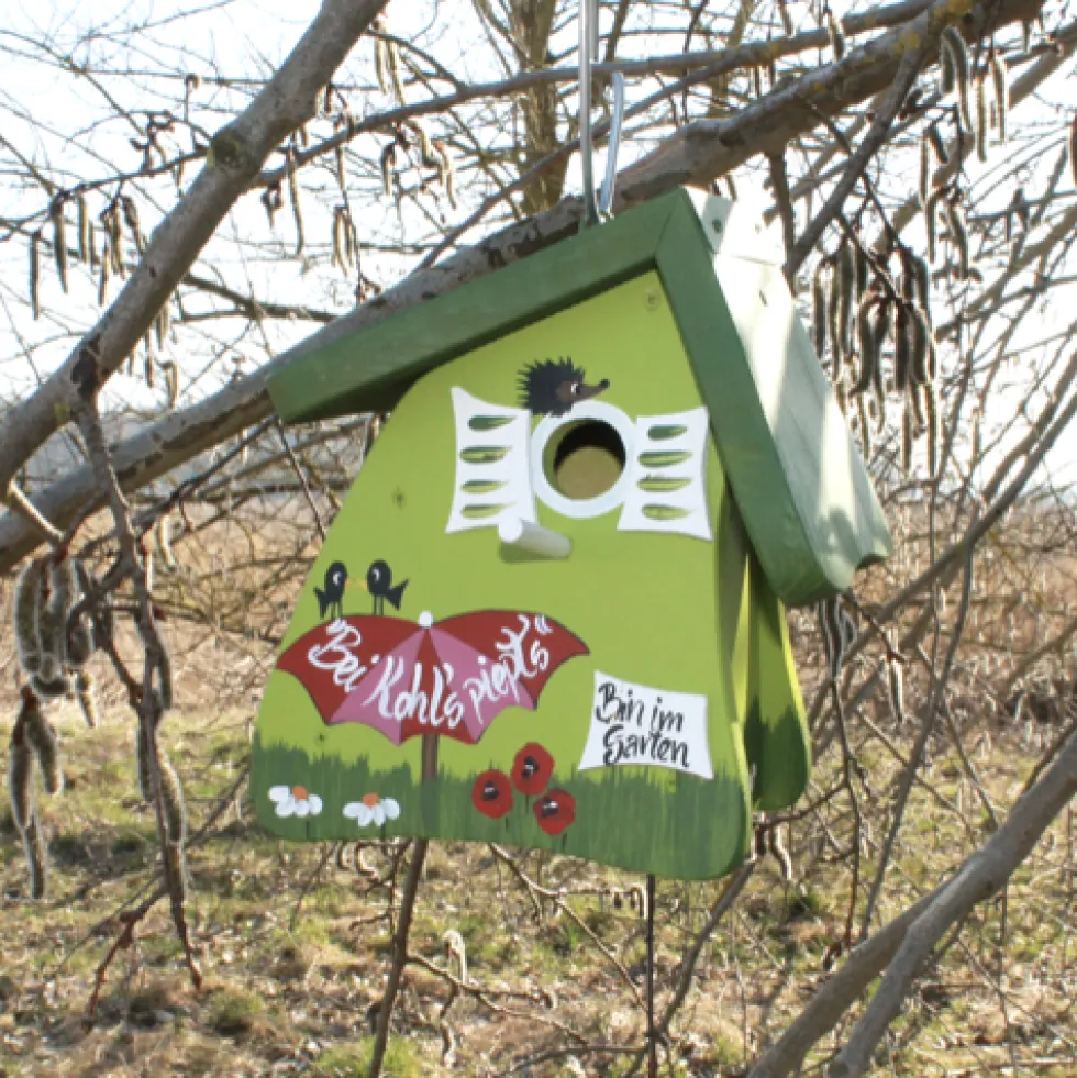 Vogelhaus Nistkasten zum Aufhängen BEI KOHLS PIEPTS grün Höhe 23 cm