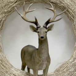 Weihnachtsdeko Hirsch Xano Kaheku Höhe 69 cm